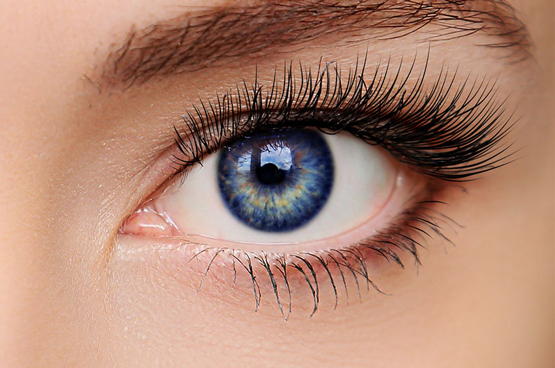 Allure Spa and Lounge Eyelash Tinting Services